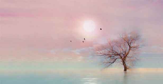 我試了7天“每天2分鐘感恩”，情緒真的變穩了